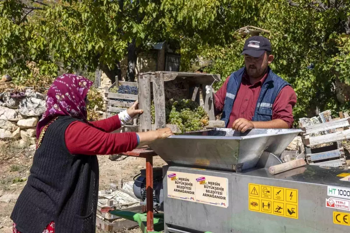 Mersin’de Üzüm Sıkma Makinesi ile Üretim Hızlanıyor