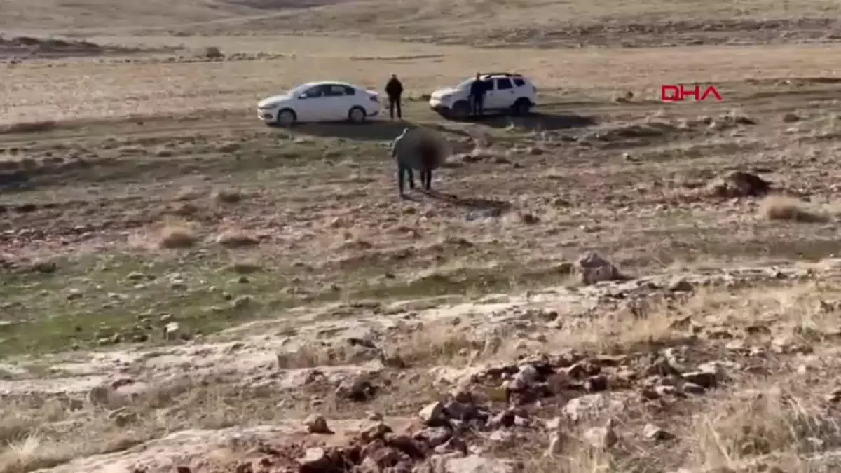 Evlat Nöbeti: Alternatif Bir Başarı Hikayesi