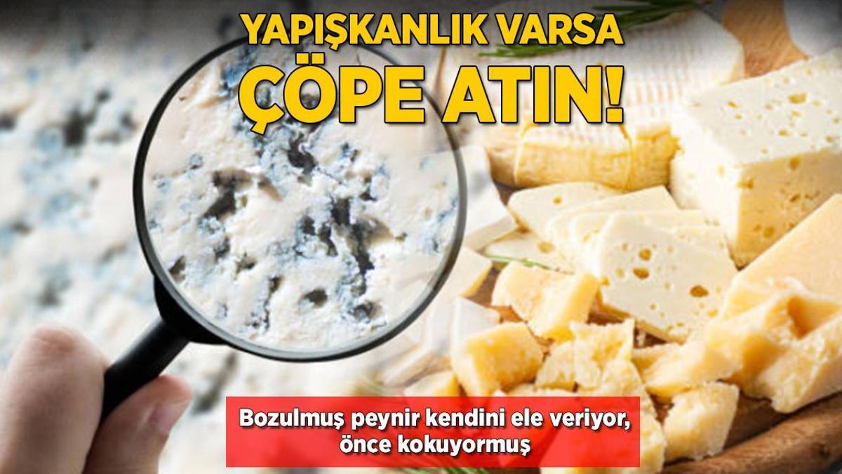 Bozuk peynirin verdiği sinyal: Önce kokuyormuş! Yapışıyorsa sakıncalı